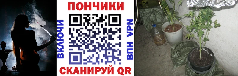 Шишки марихуана Amnesia  Воронеж 